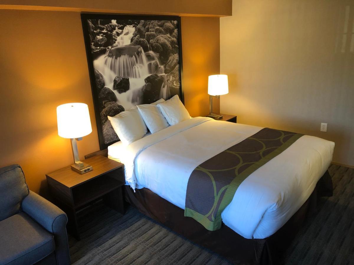 Motel Super 8 By Wyndham Lynnwood Exterior foto